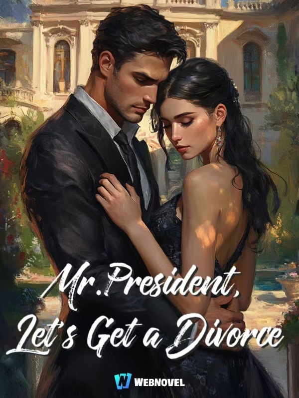 Mr.President, Let's Get a Divorce