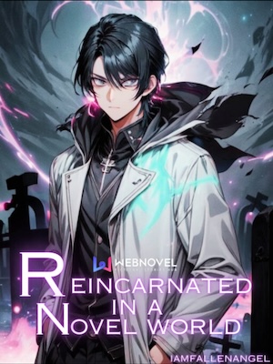 Reincarnated in a Novel World