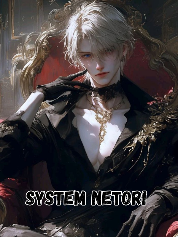 System Netori