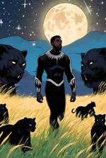 Beyond Borders: Wakanda Meets UA