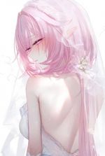 Honkai Impact 3rd: The first year of the ship