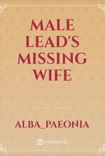 Male Lead's Missing Wife