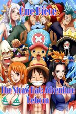 One Piece :The straw hat adventure reborn