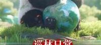 Forest Ranger: Starting with a Giant Panda Mom Clinging to Me